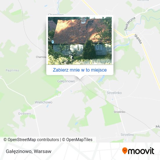 Mapa Gałęzinowo