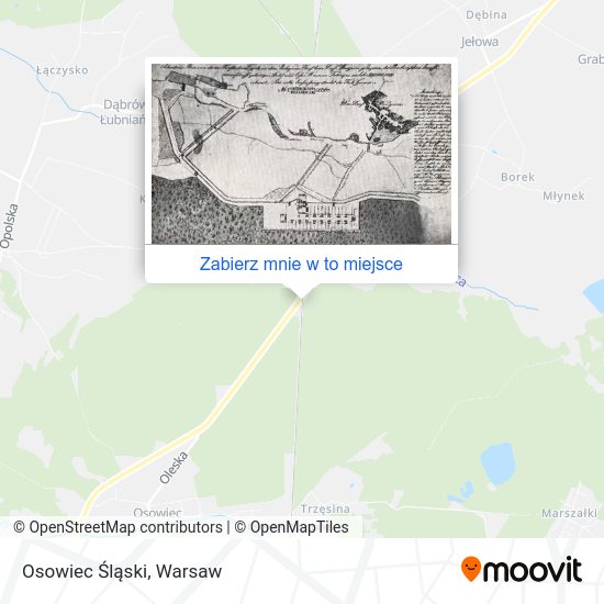 Mapa Osowiec Śląski