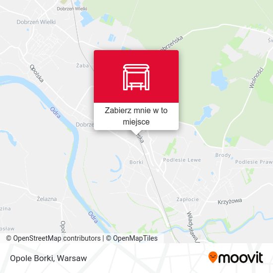 Mapa Opole Borki