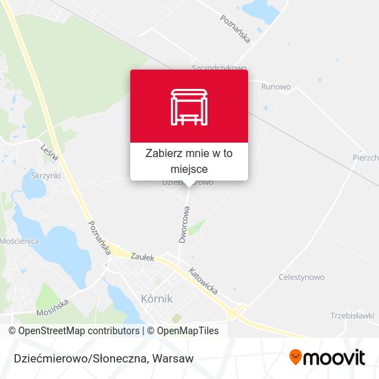 Mapa Dziećmierowo/Słoneczna