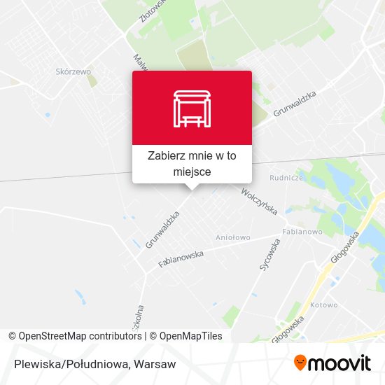 Mapa Plewiska/Południowa