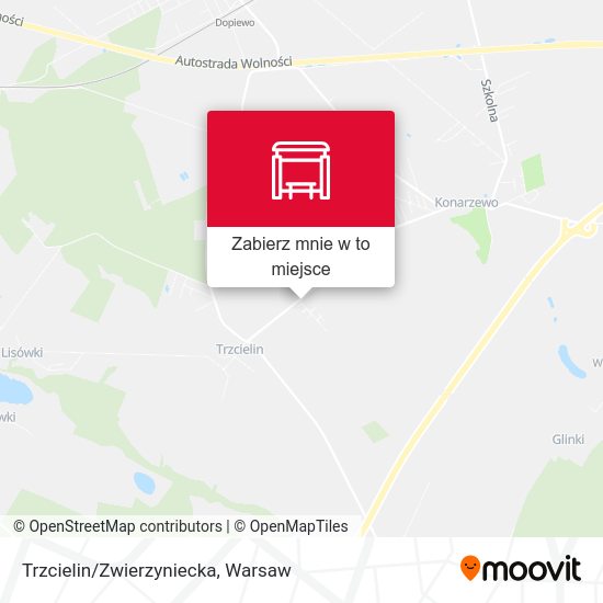 Mapa Trzcielin/Zwierzyniecka