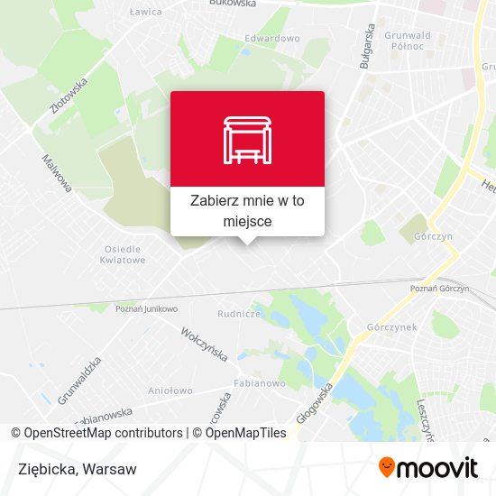 Mapa Ziębicka