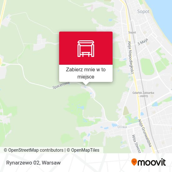 Mapa Rynarzewo 02