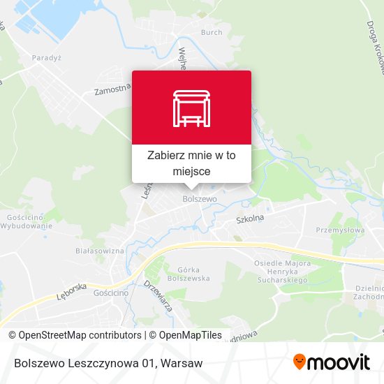 Mapa Bolszewo Leszczynowa 01