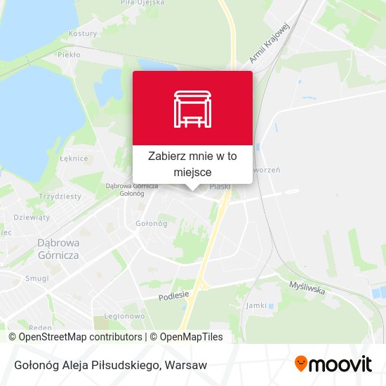 Mapa Gołonóg Aleja Piłsudskiego