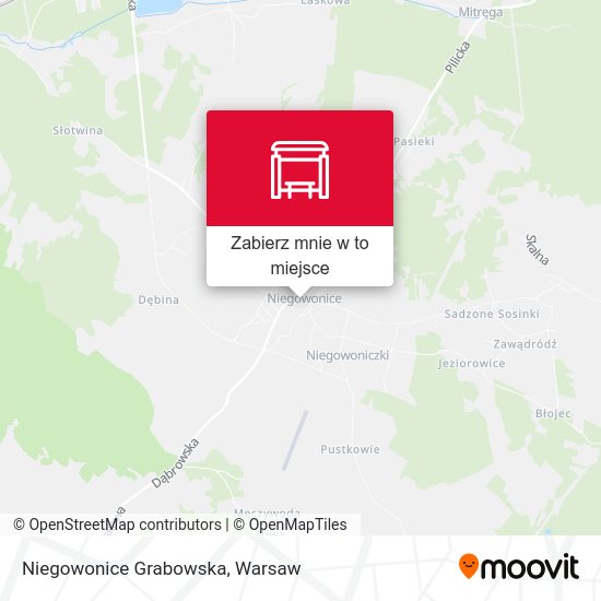 Mapa Niegowonice Grabowska