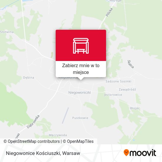 Mapa Niegowonice Kościuszki