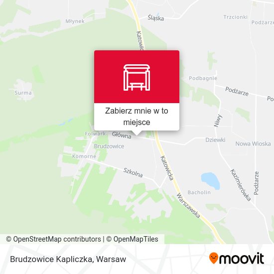 Mapa Brudzowice Kapliczka