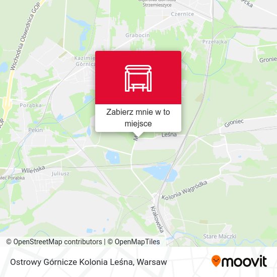 Mapa Ostrowy Górnicze Kolonia Leśna