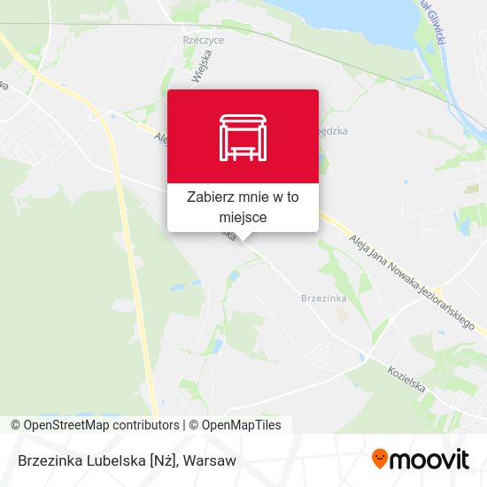 Mapa Brzezinka Lubelska [Nż]