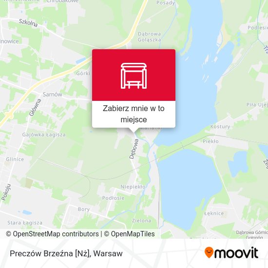 Mapa Preczów Brzeźna [Nż]