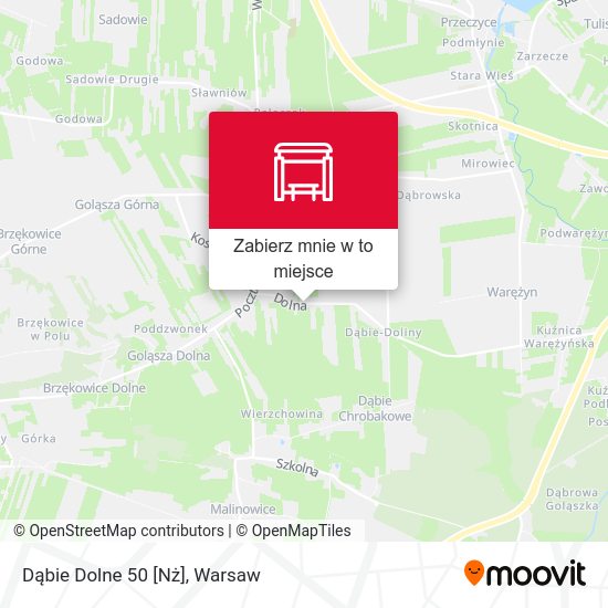 Mapa Dąbie Dolne 50 [Nż]