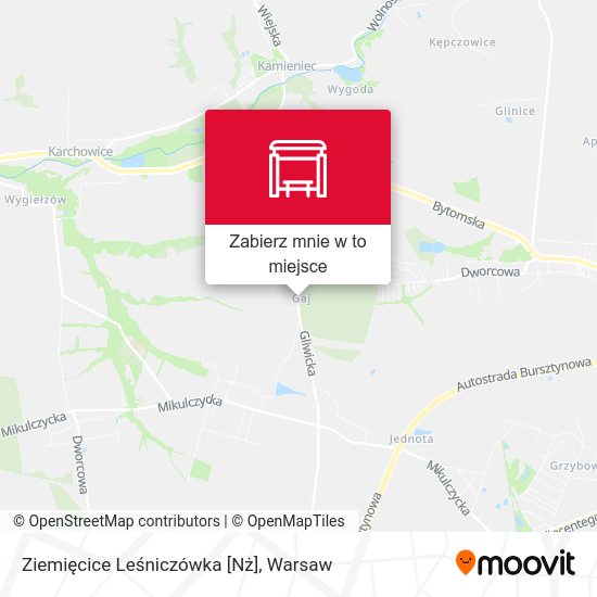 Mapa Ziemięcice Leśniczówka [Nż]