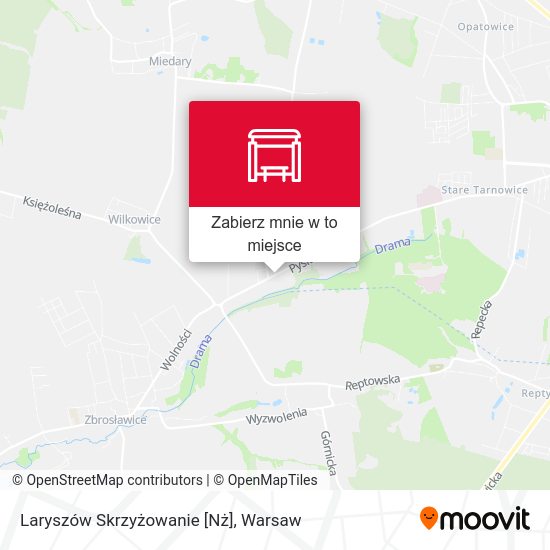 Mapa Laryszów Skrzyżowanie [Nż]