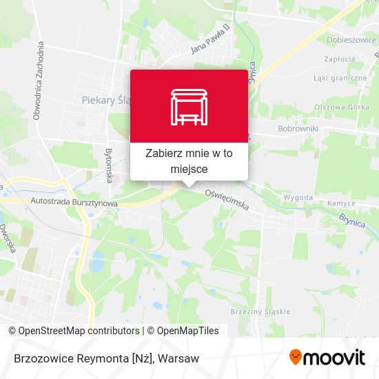 Mapa Brzozowice Reymonta [Nż]