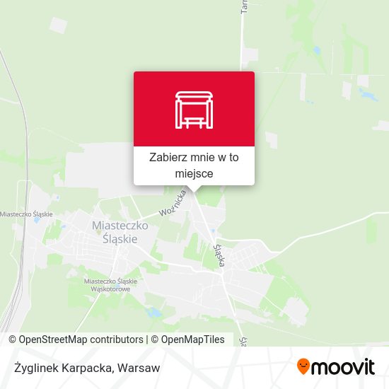 Mapa Żyglinek Karpacka