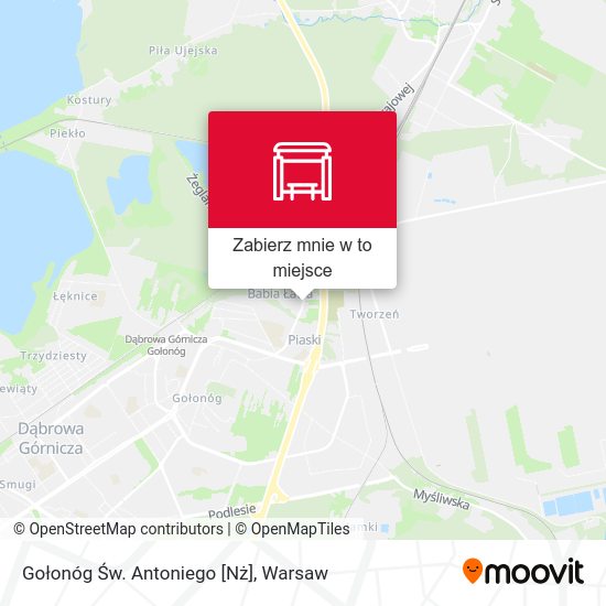 Mapa Gołonóg Św. Antoniego [Nż]