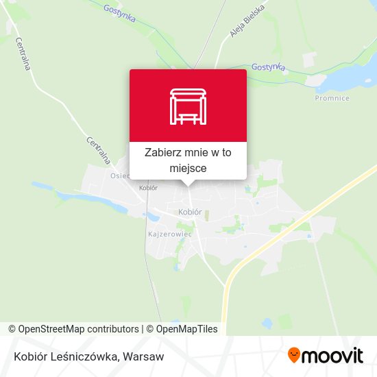 Mapa Kobiór Leśniczówka