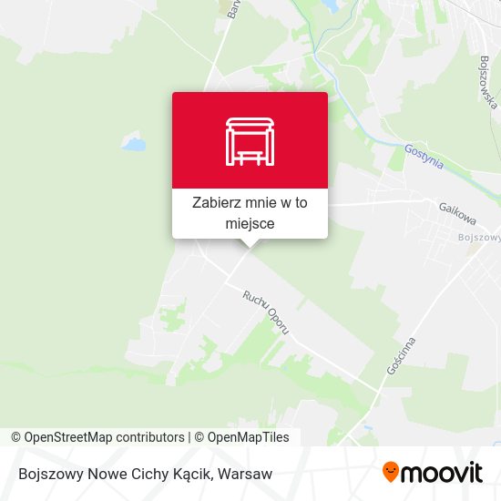 Mapa Bojszowy Nowe Cichy Kącik