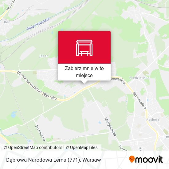 Mapa Dąbrowa Narodowa Lema (771)