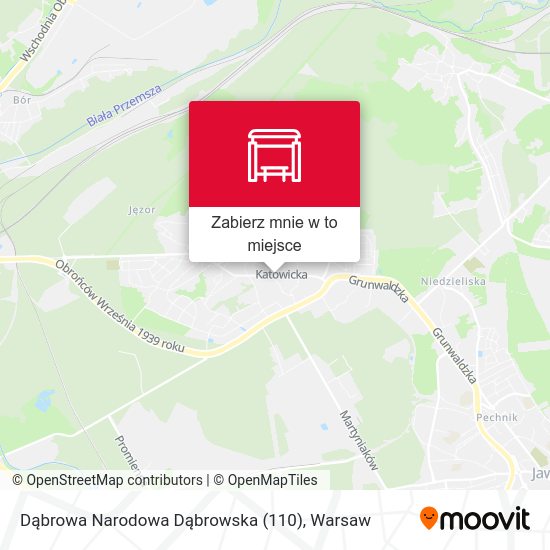 Mapa Dąbrowa Narodowa Dąbrowska (110)