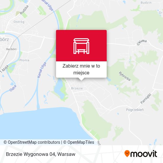 Mapa Brzezie Wygonowa 04