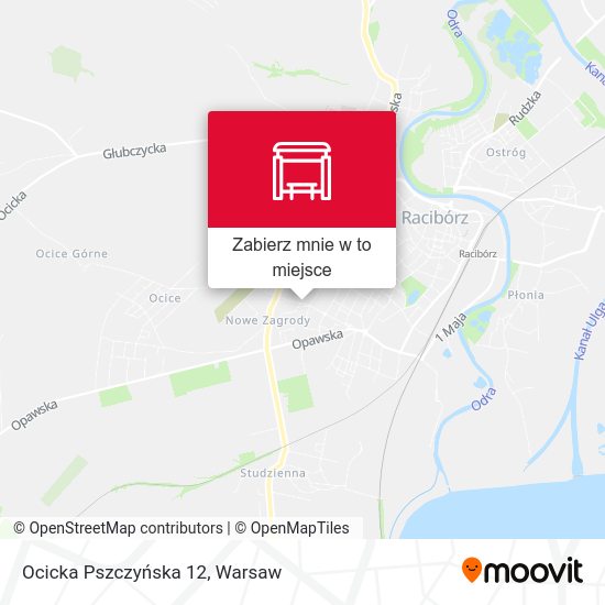 Mapa Ocicka Pszczyńska 12