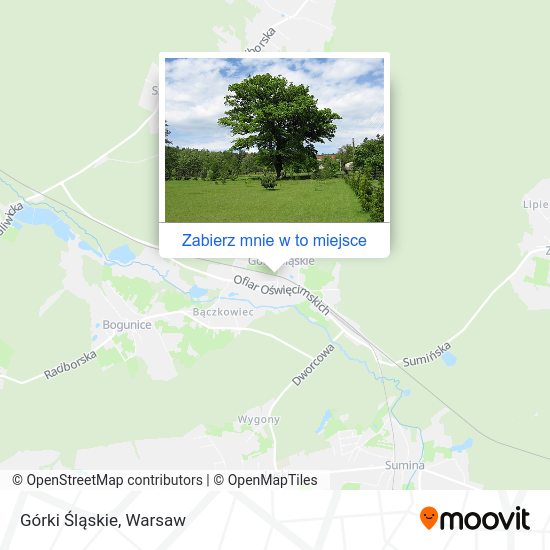 Mapa Górki Śląskie