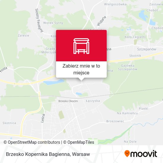 Mapa Brzesko Kopernika Bagienna