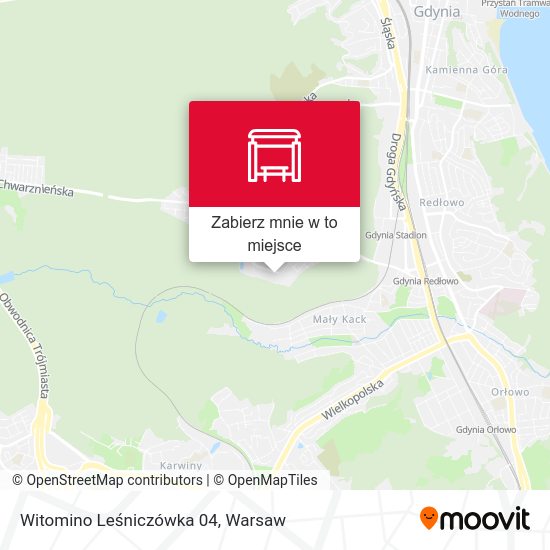 Mapa Witomino Leśniczówka 04