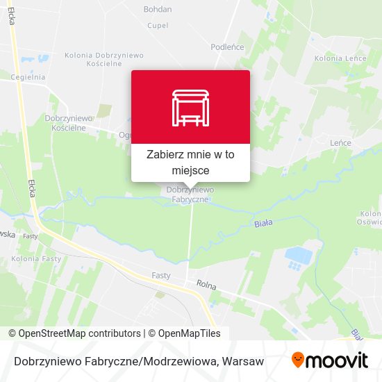 Mapa Dobrzyniewo Fabryczne / Modrzewiowa