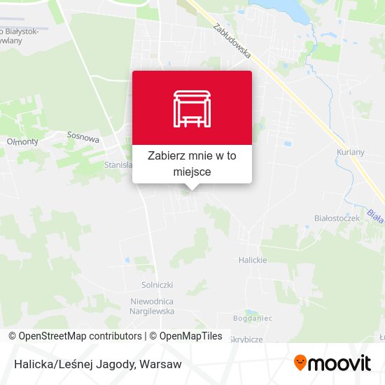 Mapa Halicka/Leśnej Jagody