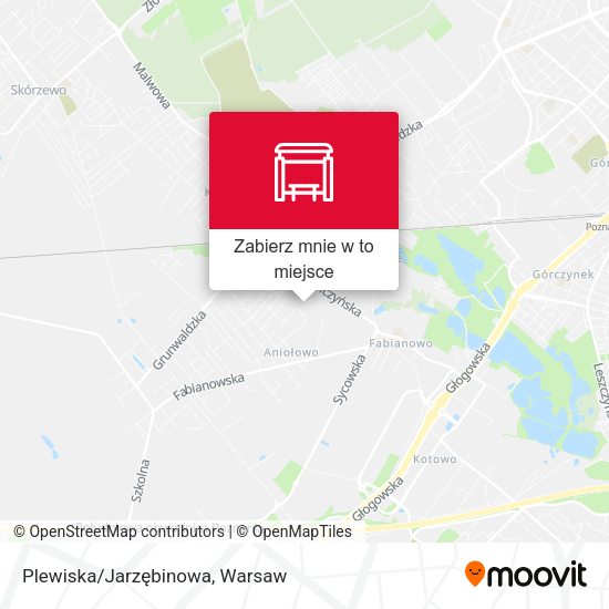 Mapa Plewiska/Jarzębinowa