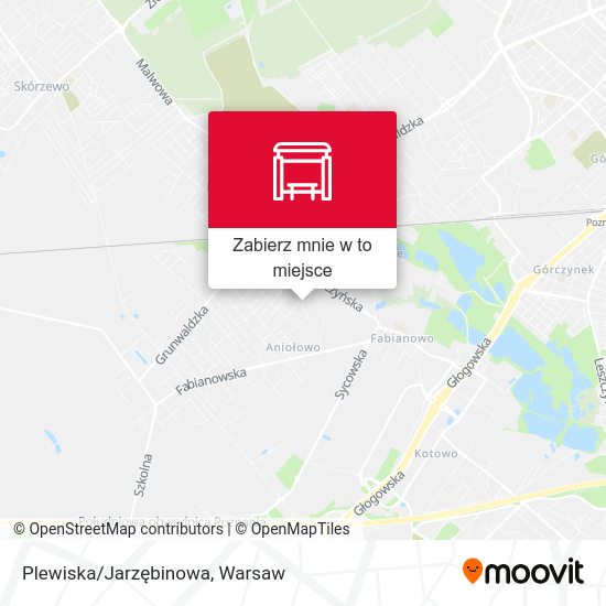 Mapa Plewiska/Jarzębinowa