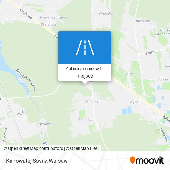 Mapa Karłowatej Sosny