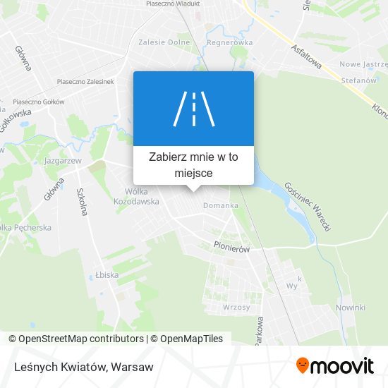 Mapa Leśnych Kwiatów