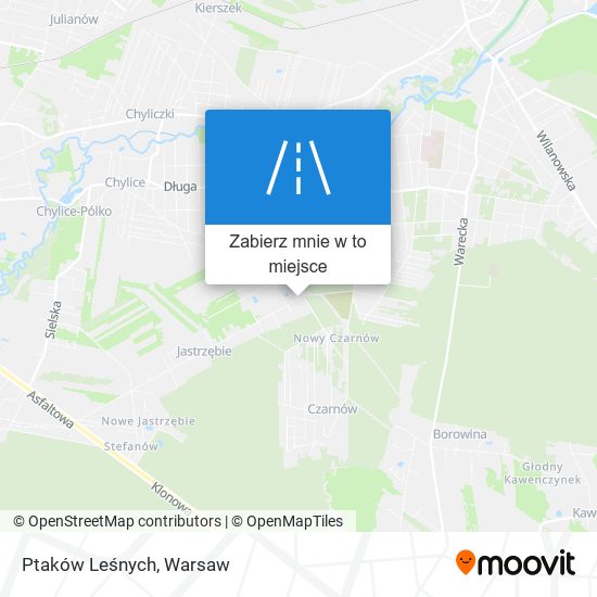 Mapa Ptaków Leśnych