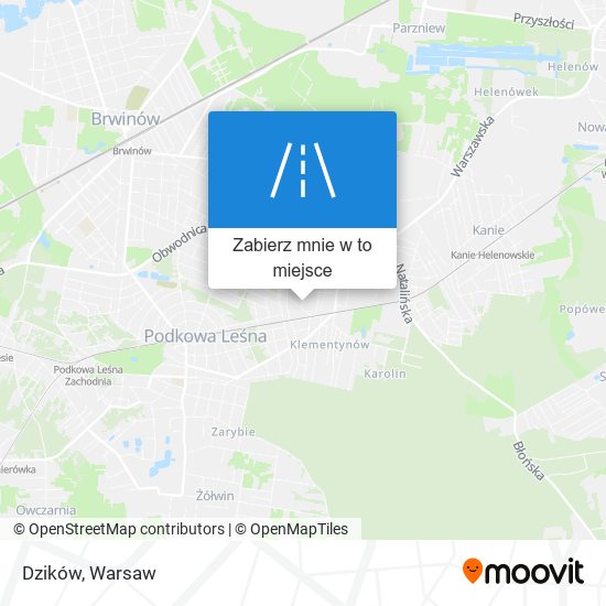 Mapa Dzików