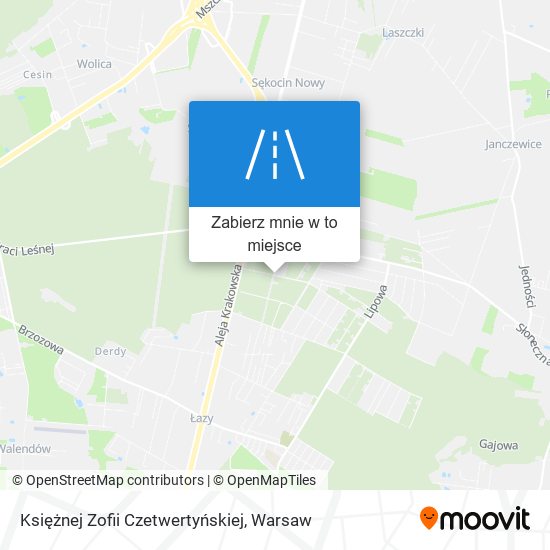 Mapa Księżnej Zofii Czetwertyńskiej