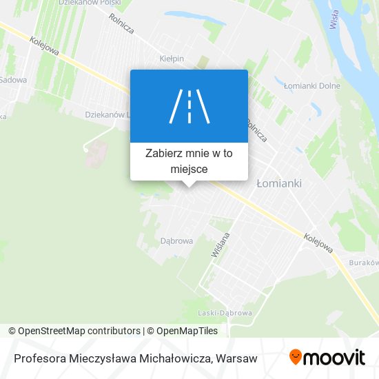 Mapa Profesora Mieczysława Michałowicza