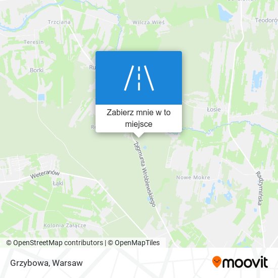 Mapa Grzybowa