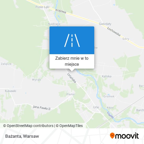 Mapa Bażanta