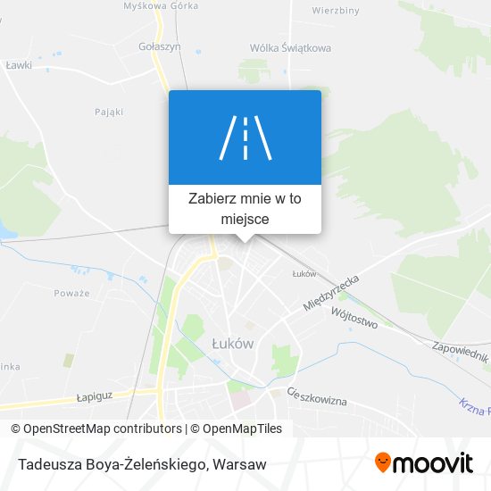 Mapa Tadeusza Boya-Żeleńskiego