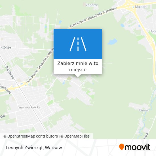 Mapa Leśnych Zwierząt