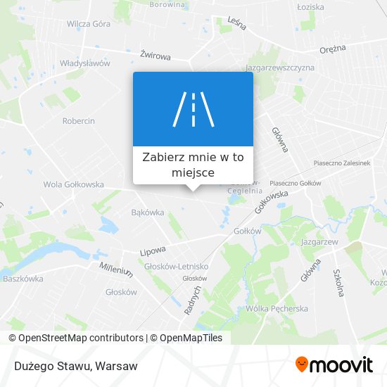 Mapa Dużego Stawu