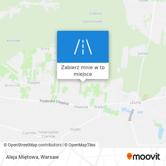 Mapa Aleja Miętowa