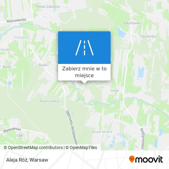 Mapa Aleja Róż