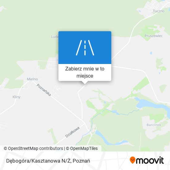 Mapa Dębogóra/Kasztanowa N/Ż
