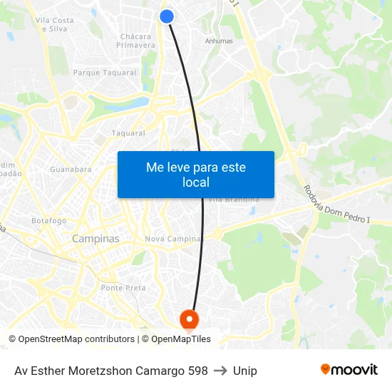 Av Esther Moretzshon Camargo 598 to Unip map